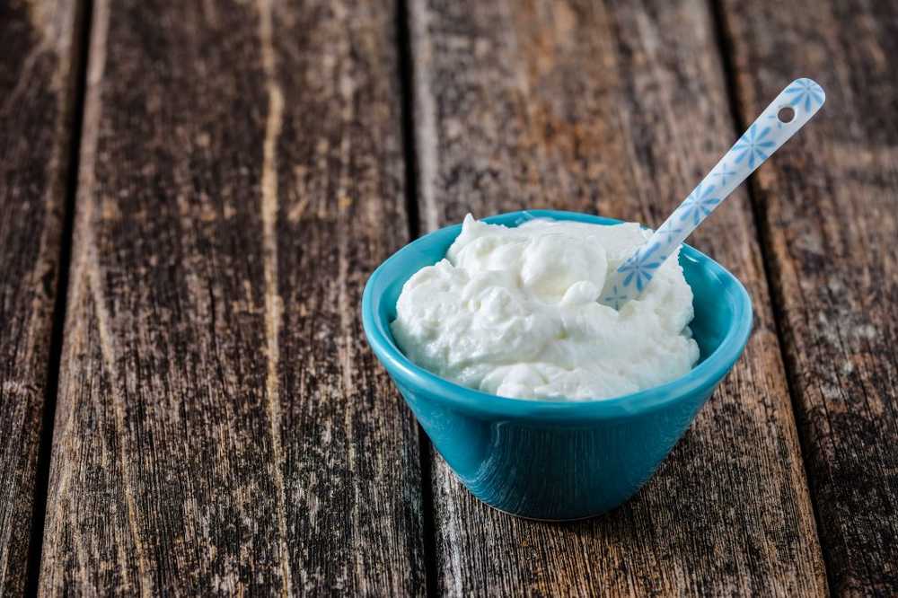 Yoghurt, Kefir & Co simply homemade / Health News