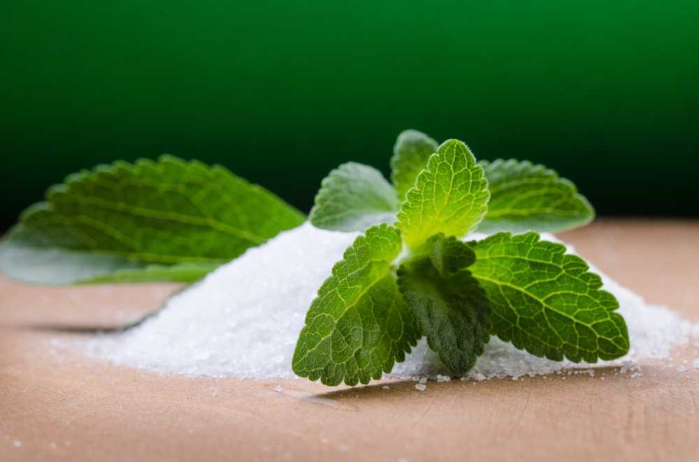 No triumph of sweetener Stevia