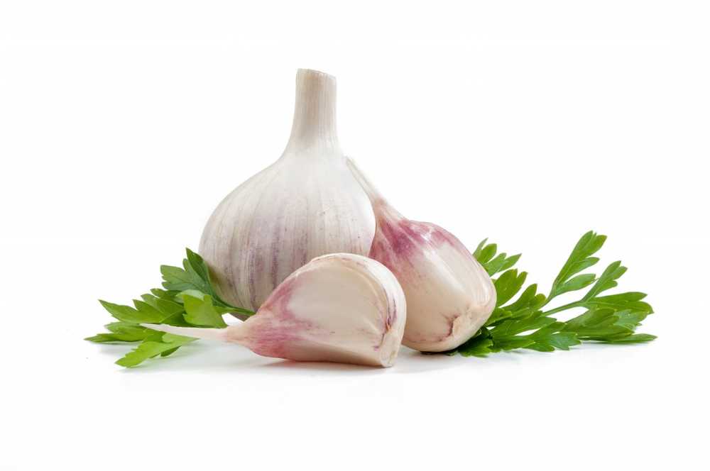 Garlic all-rounder from the naturopathy / Health News