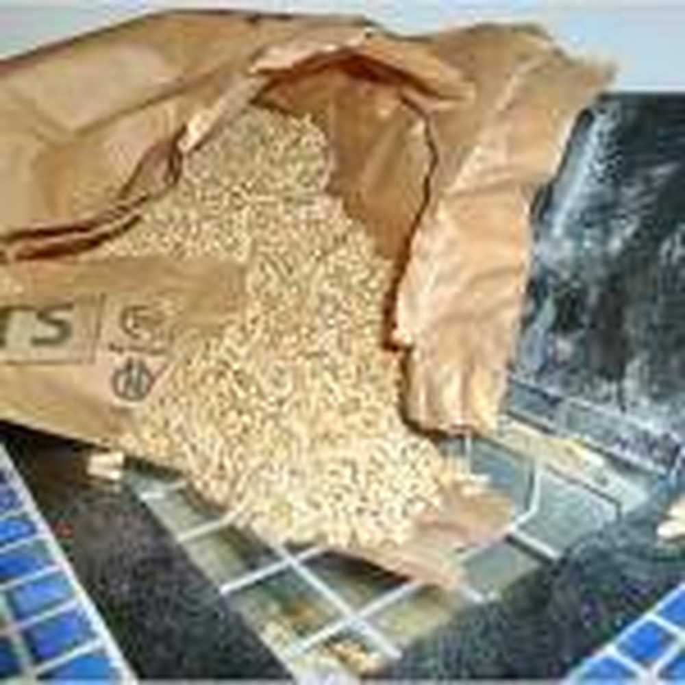 Carbon monoxide poisoning by wood pellets / Health News