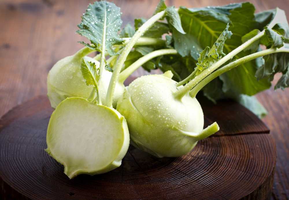 Kohlrabi Grønnsakene på våren Bladene er også spiselige / Helse Nyheter