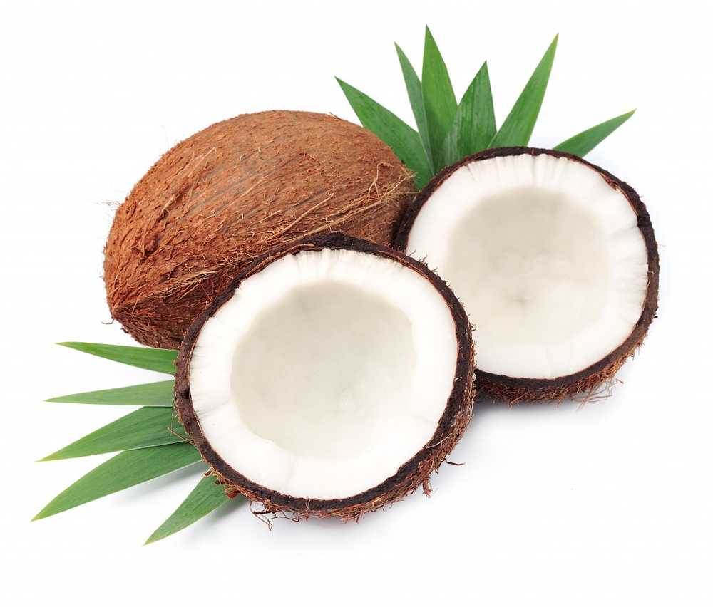 Coconut at Cushing & Co / Health News