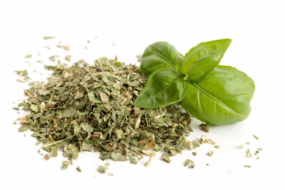 Herbal Knowledge Healthy basil loves the bright light / Health News