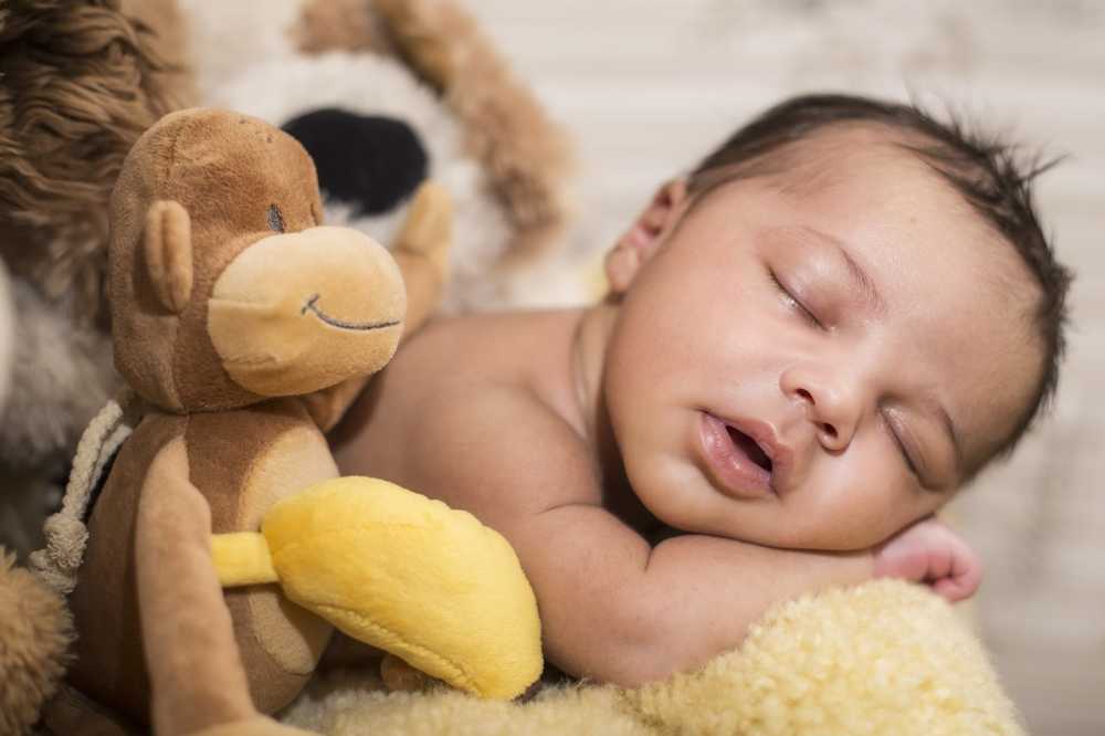 Animaux en peluche chargés de polluants cancérigènes - Risques pour la santé des enfants / Nouvelles sur la santé