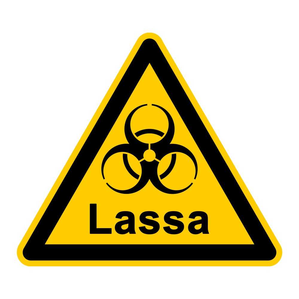 Lassa fever condition of the Frankfurt patient unchanged / Health News