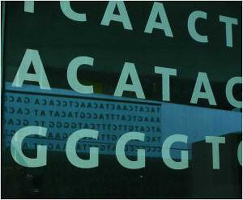 Los genes de la esperanza de vida controlan la larga vida / Noticias de salud