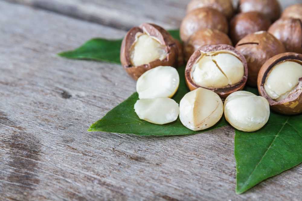 Noix de macadamia délicieuse santé sur le plateau de noix / Nouvelles sur la santé