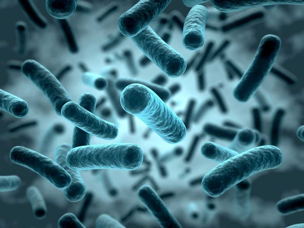 Massive use of antibiotics Millions of deaths due to multi-resistant germs possible / Health News