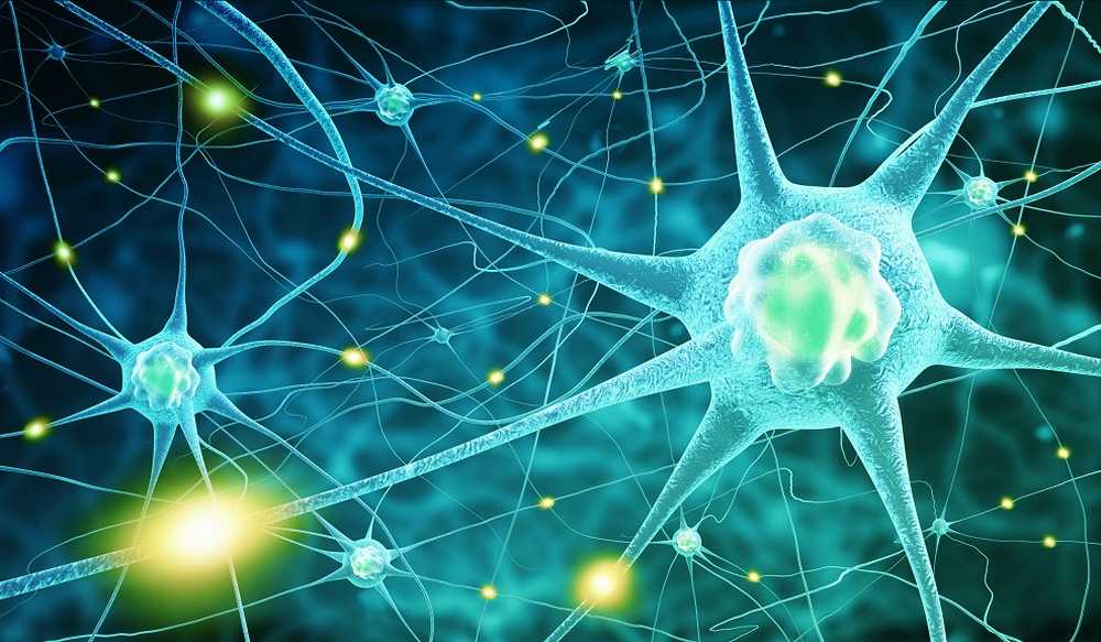 Human brain accessing memories extremely fast / Health News