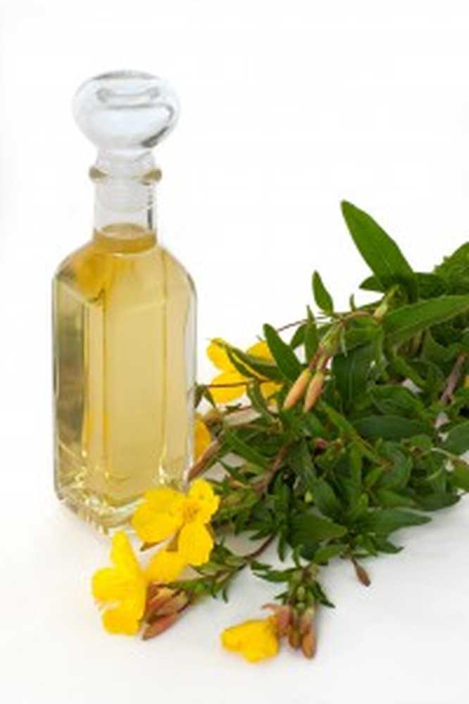 Evening primrose oil / Naturopathy