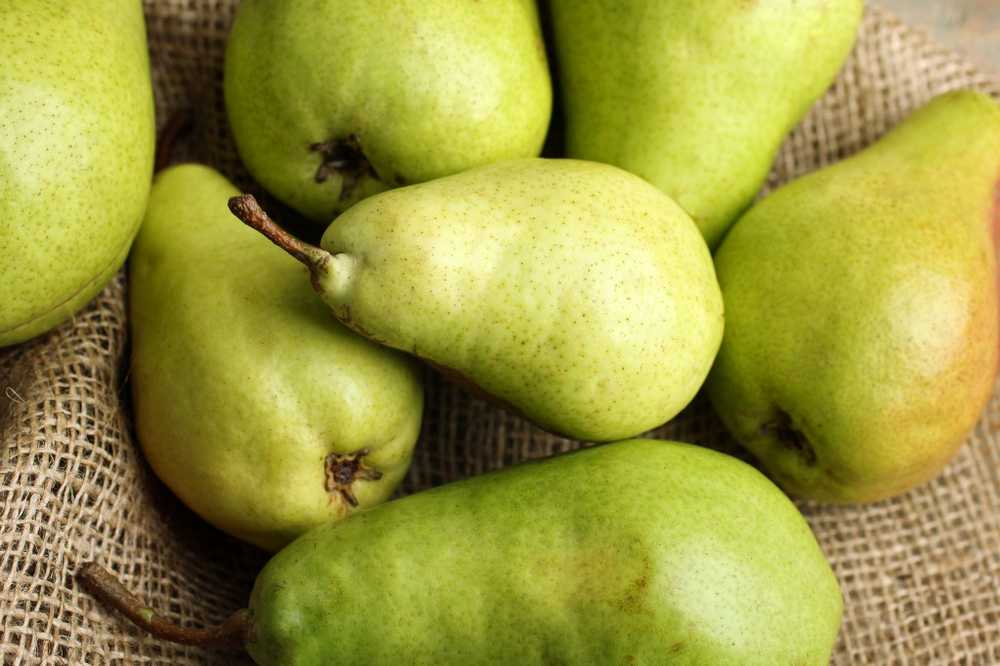 Do Not Grow Everyday eating pears protects against being overweight / Health News