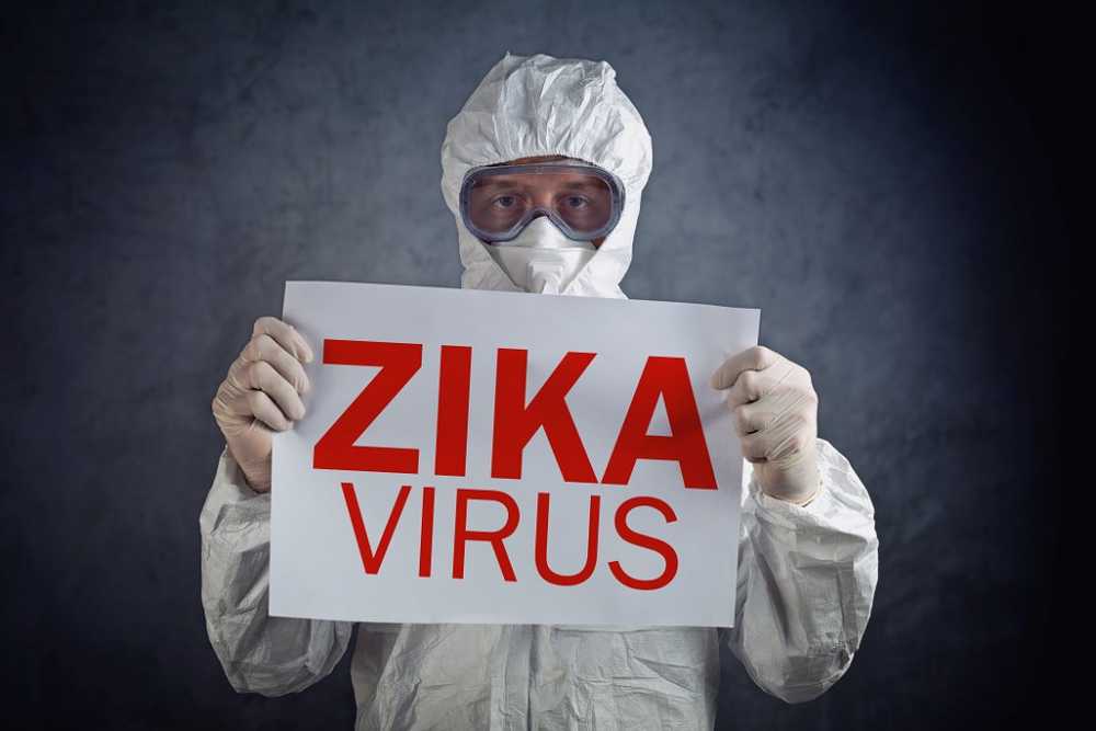 Pesticides in the fight against Zika are not responsible for skull malformations / Health News