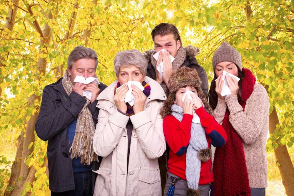 Pollen flight at Christmas How can allergies be better protected? / Health News