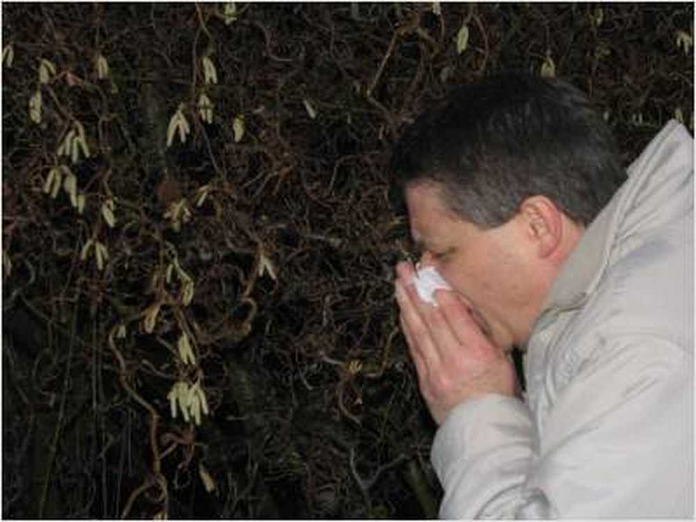 Pollen Flight Conseils utiles pour les personnes allergiques / Nouvelles sur la santé