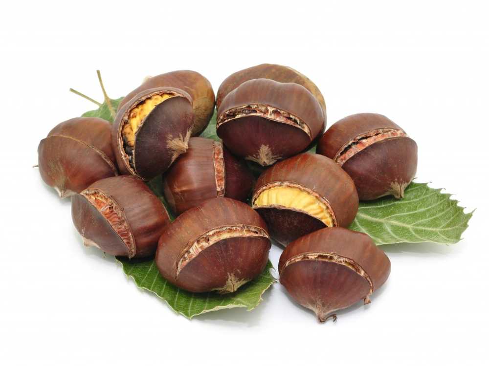 Combat resistant bacteria with extracts of chestnuts / Health News