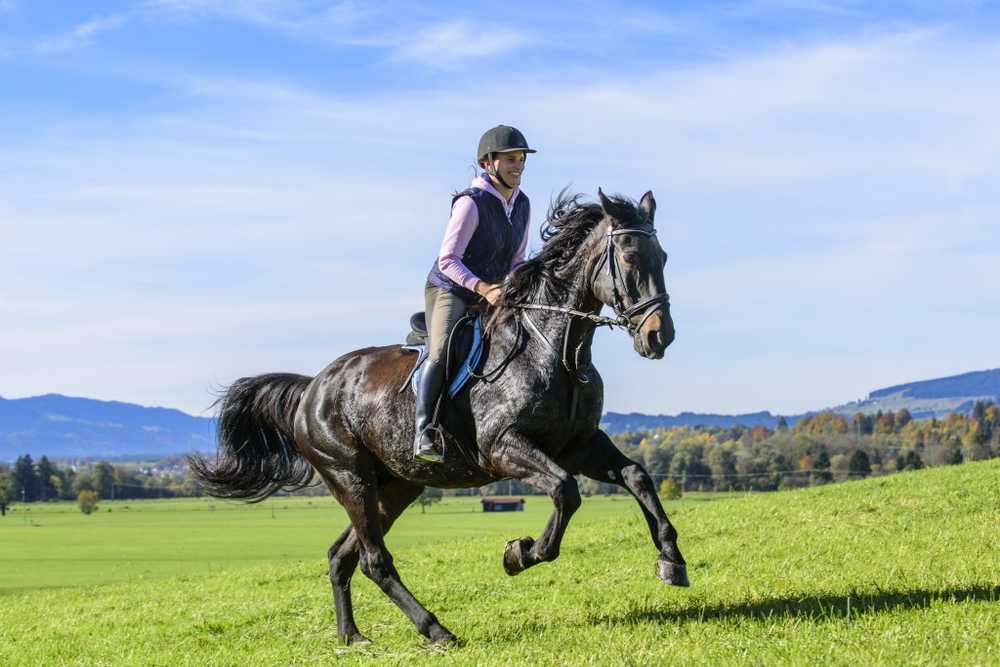 Are riding. Reiten. Riding out.