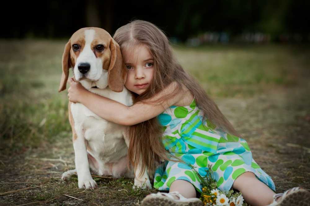 Les médecins avertissent les chiens craintifs peuvent être un danger pour les enfants / Nouvelles sur la santé