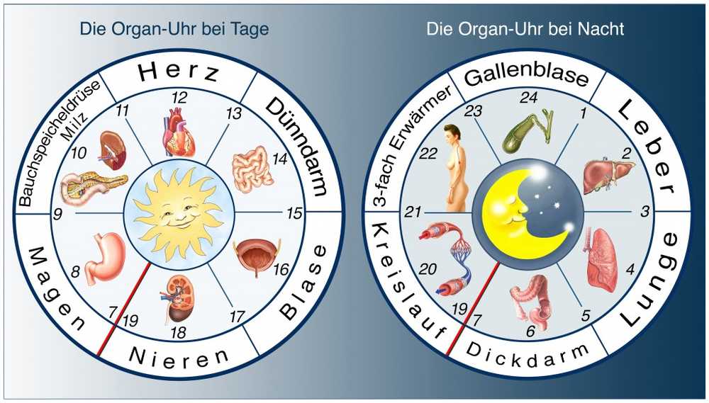 Sleep-wake-bio-rhythm The jetlag abruptly bunging? / Health News