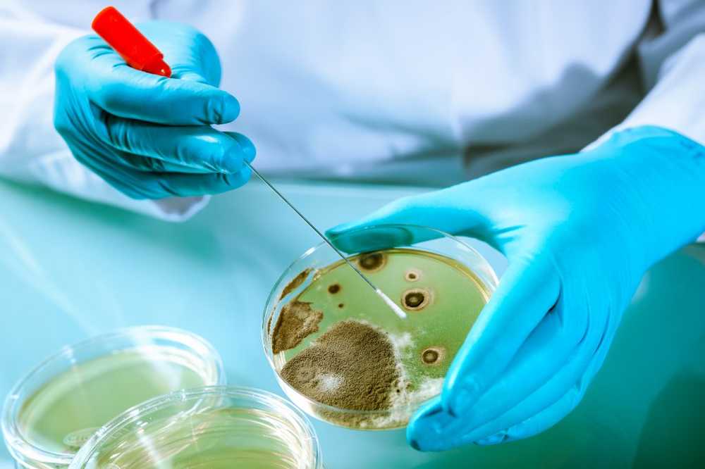 Already infested by Listeria Bavarian butcher stops production