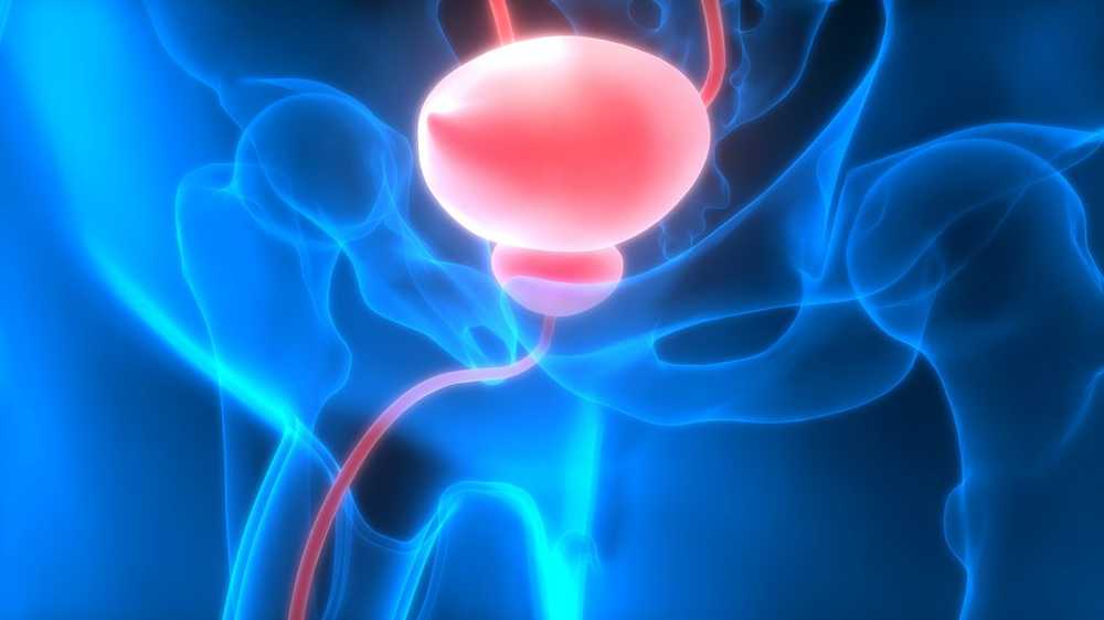 Causas y terapia de burbujas de encogimiento / síntomas