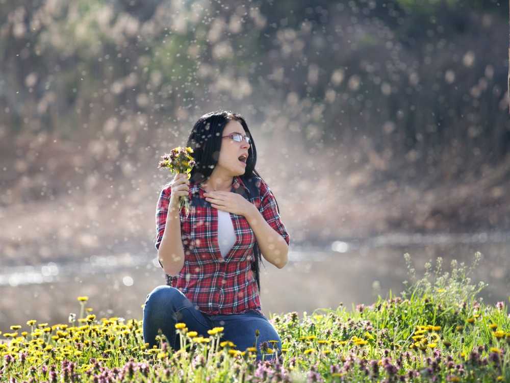 Strong new hay fever waves due to climate change expected / Health News