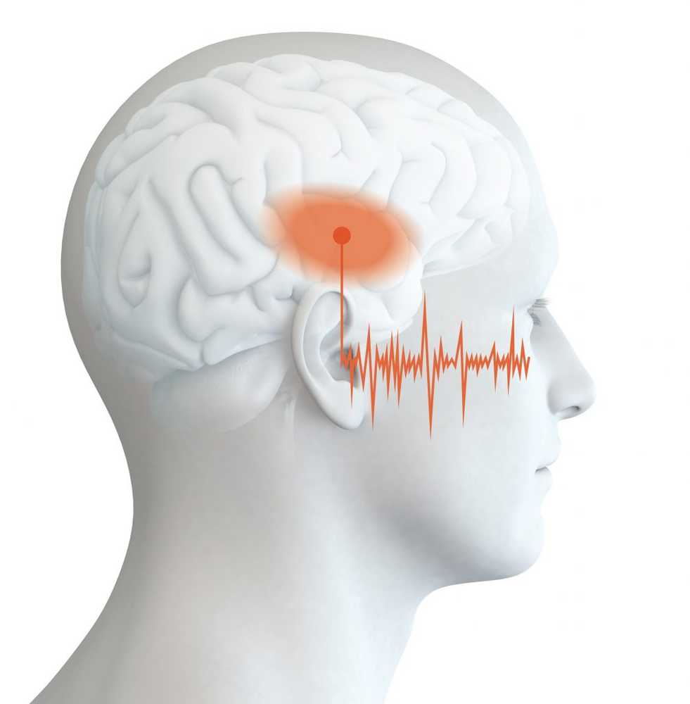 Studie Har tinnitus påvirker hjernestrukturen?