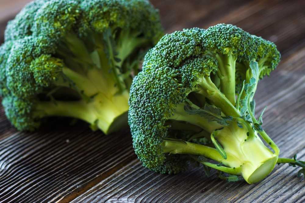 Étudier le brocoli renforce notre système immunitaire