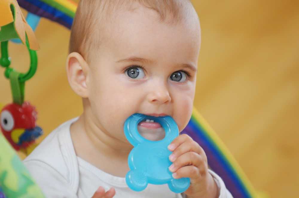 Studier hormon-lignende stoffer i baby teethers