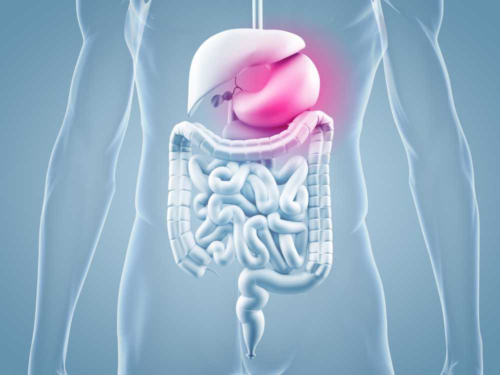 Day of the pharmacy is dedicated to the gastrointestinal discomfort / Health News