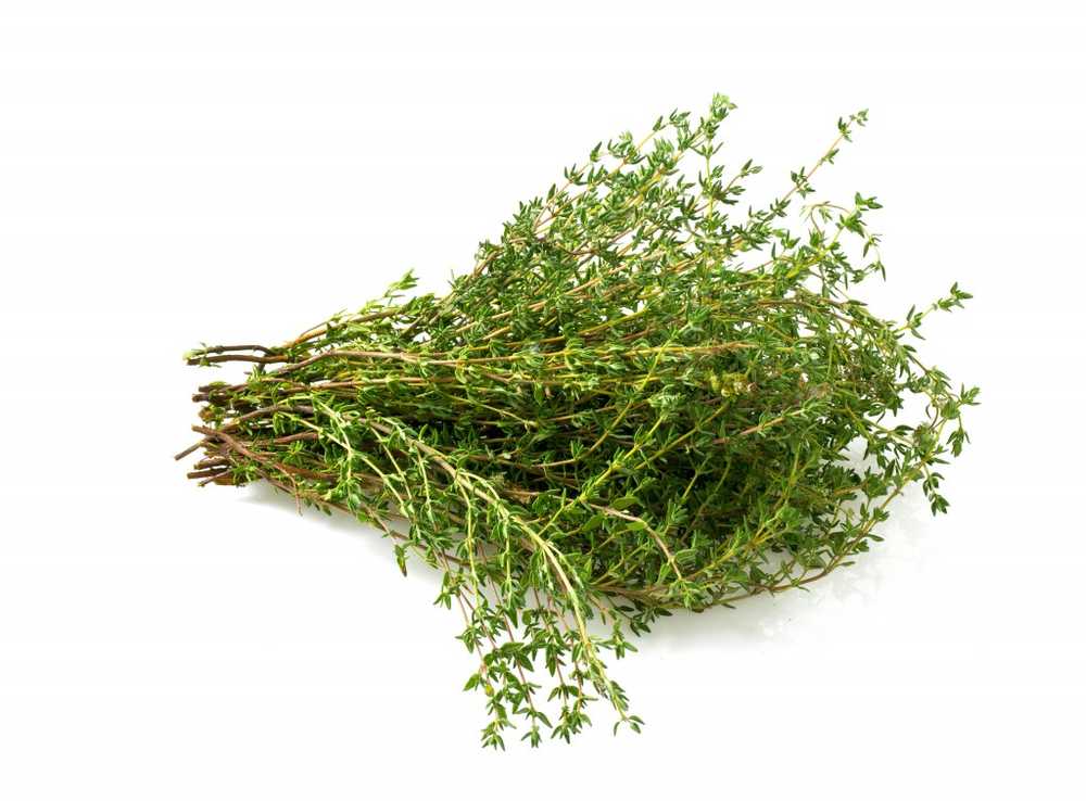 Thyme fresh or dried A medicinal herb for the palate and health / Health News