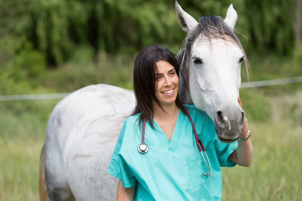 Veterinary medicine Healing herbs for horses / Health News