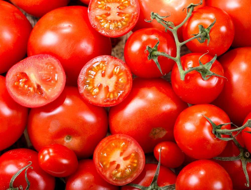 Tomatoes as new medicine / Health News