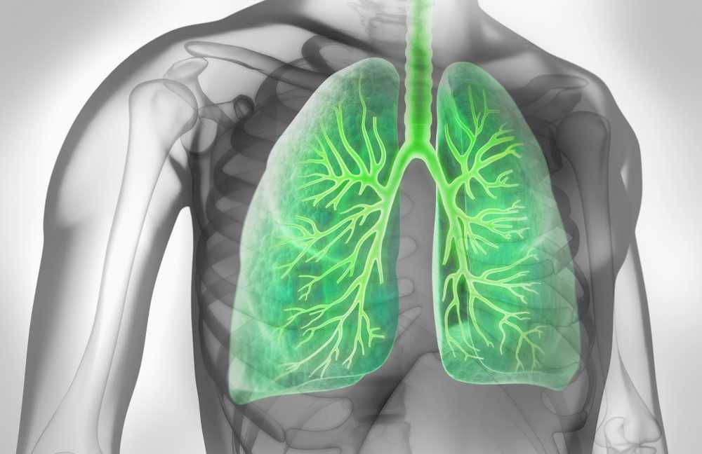 Vacances Où aller pour les bronches malades? Les pays chauds et humides ne sont pas recommandés / Nouvelles sur la santé