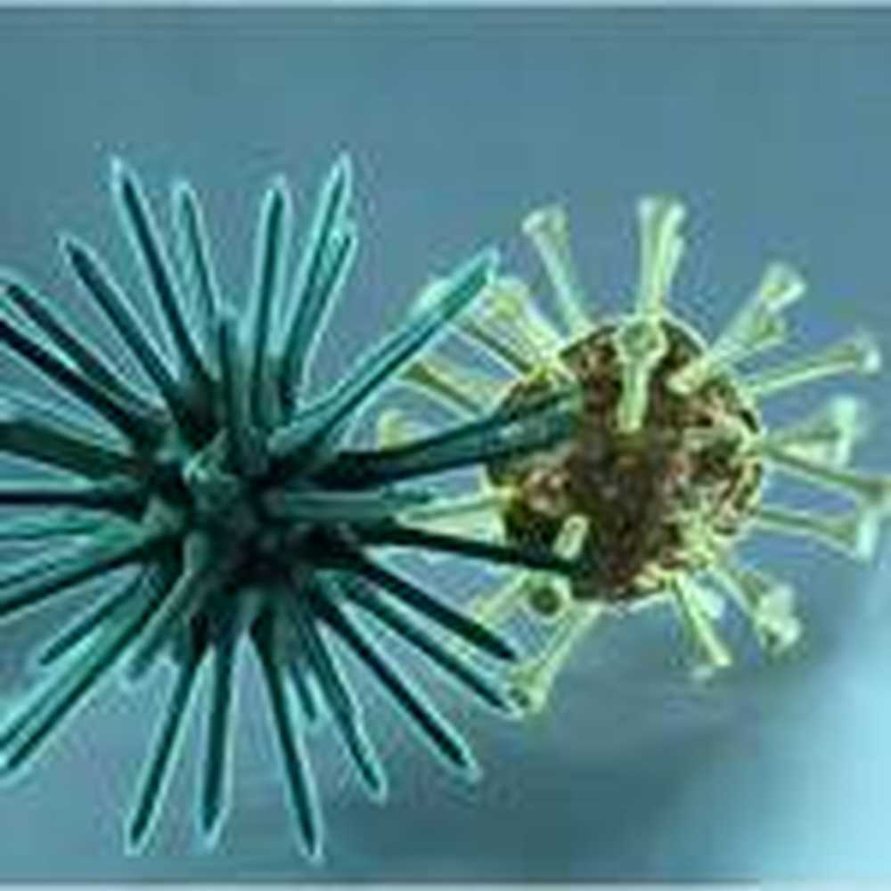 Virus Reservoirs Unknown virus identified / Health News