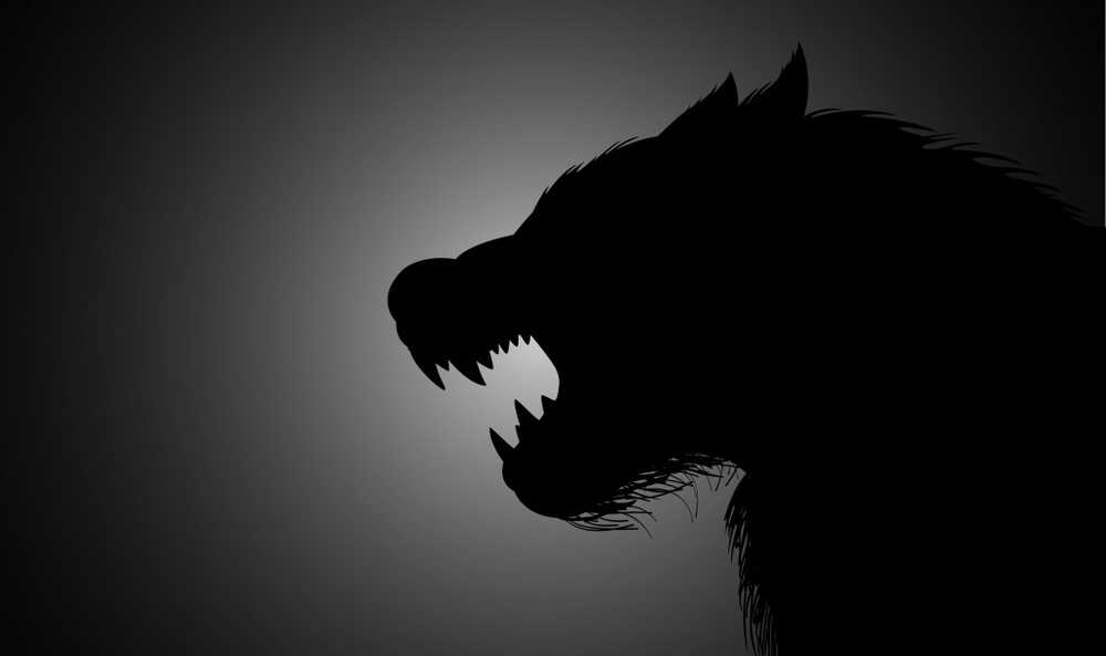 Werewolves and diseases