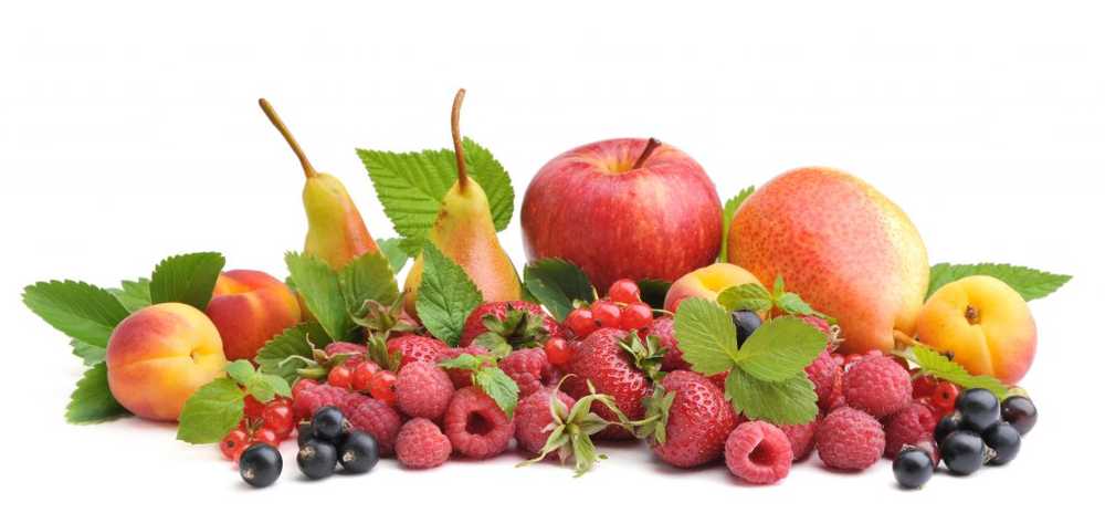 Scientists More fruit at a young age to prevent cancer later?