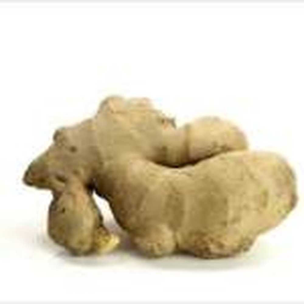 Wunderknolle Ginger Especially healthy in autumn / Health News