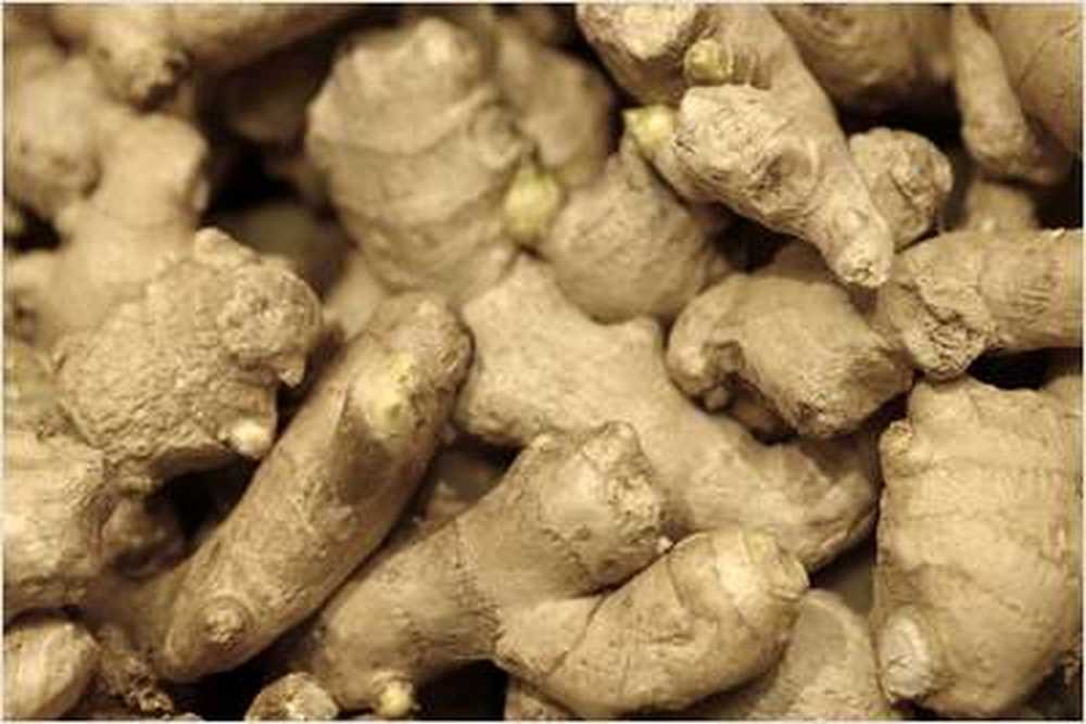 Wunderknolle ginger helps against many diseases