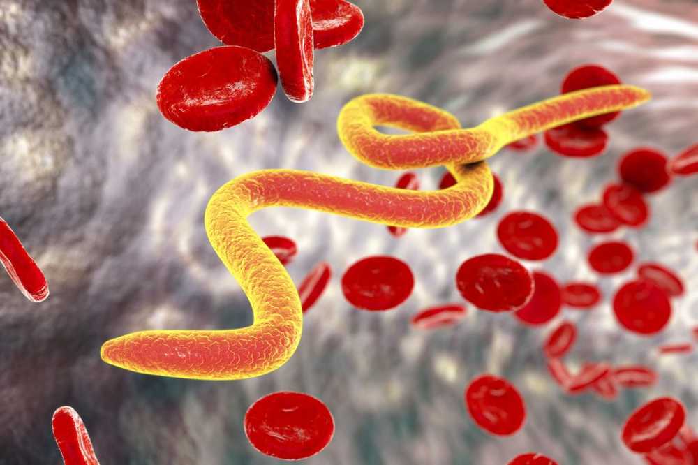 Worm infections significantly increase the risk of HIV infection / Health News