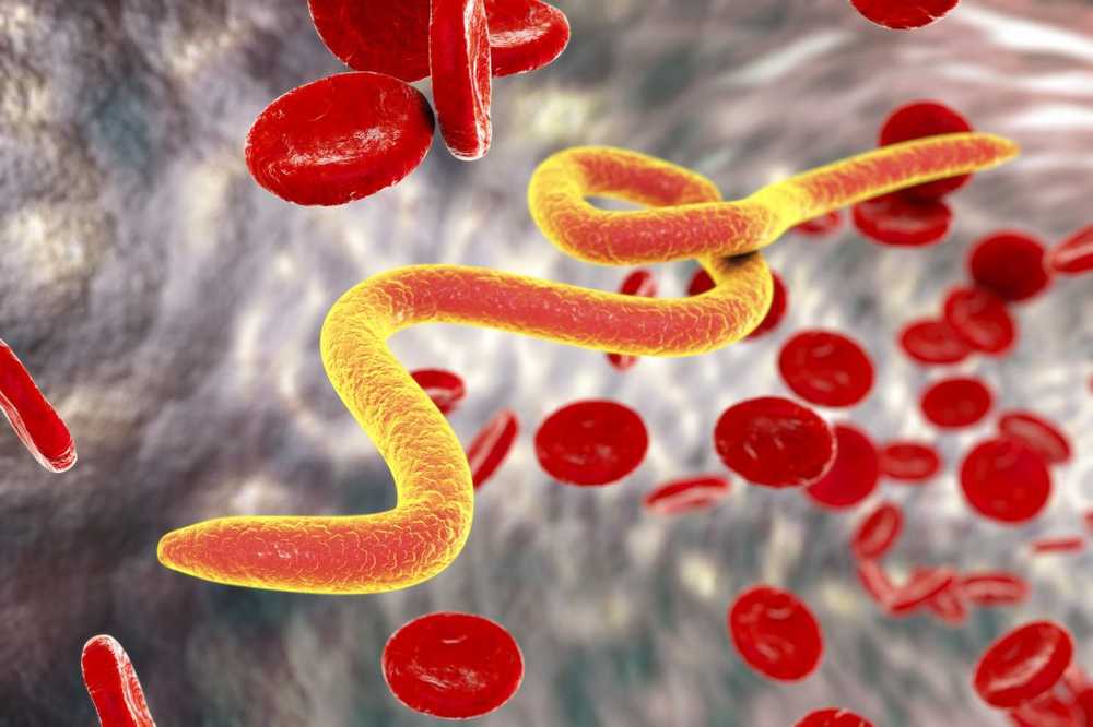 Worm infections significantly increase the risk of HIV infection