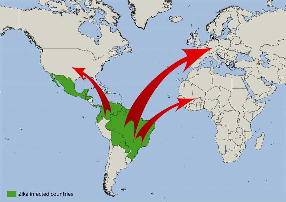 Il numero di casi aumenta l'infezione da Zika rilevata in 20 persone in Germania