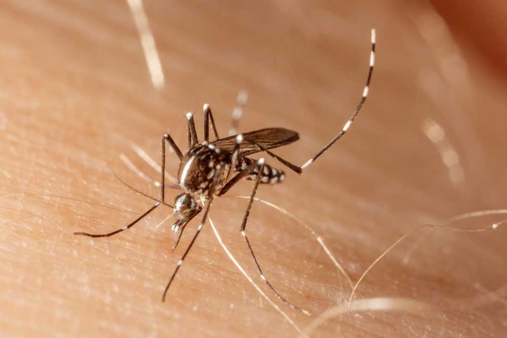 Zika-virus Eerste baby geboren met microcefalie in Europa / Gezondheid nieuws